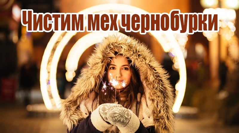 Fille dans un manteau de fourrure