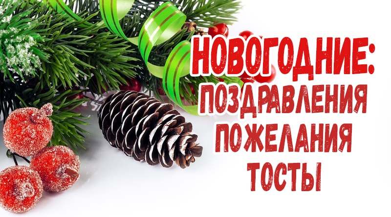 Branches et cônes d'épicéa