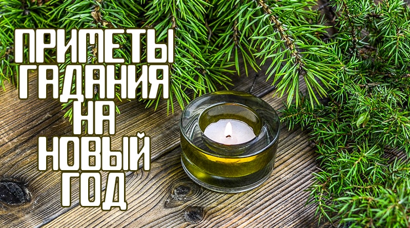 Branches d'arbres de Noël avec une bougie