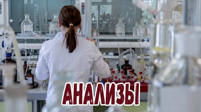 Comment réduire le cholestérol à la maison